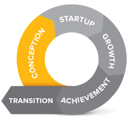 The Lifecycle of the Entrepreneurial Business: Wonder